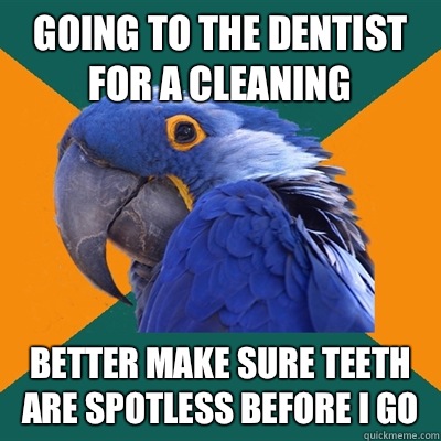 Going to the dentist for a cleaning Better make sure teeth are spotless before I go - Going to the dentist for a cleaning Better make sure teeth are spotless before I go  Paranoid Parrot