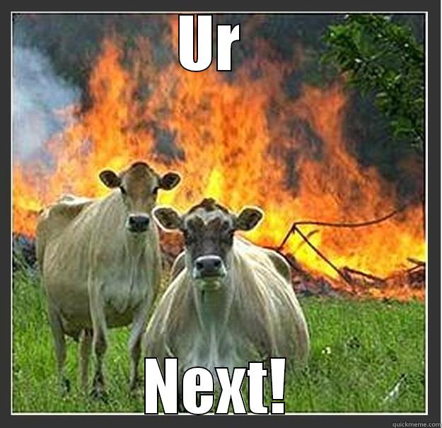 UR  NEXT! Evil cows