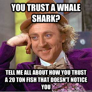 you trust a whale shark? Tell me all about how you trust a 20 ton fish that doesn't notice you - you trust a whale shark? Tell me all about how you trust a 20 ton fish that doesn't notice you  Condescending Wonka