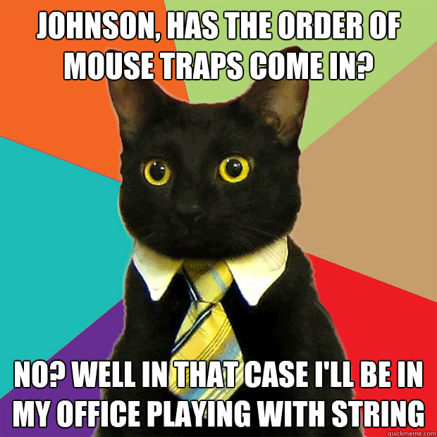 Johnson, has the order of mouse traps come in? No? Well in that case I'll be in my office playing with string  Business Cat