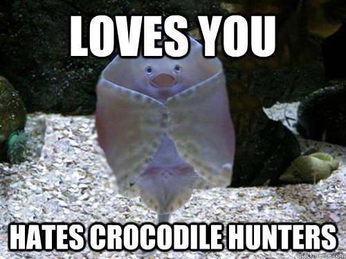 loves you Hates crocodile hunters  friendly stingray