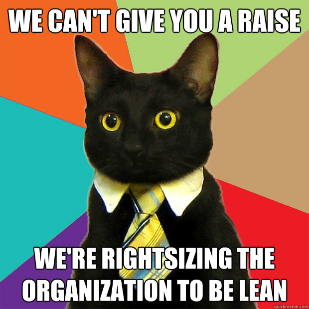 We can't give you a raise We're rightsizing the organization to be LEAN - We can't give you a raise We're rightsizing the organization to be LEAN  Business Cat