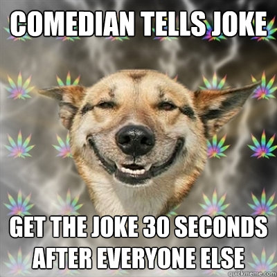 comedian tells joke get the joke 30 seconds after everyone else  Stoner Dog