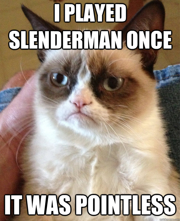 I played slenderman once It was pointless  Grumpy Cat