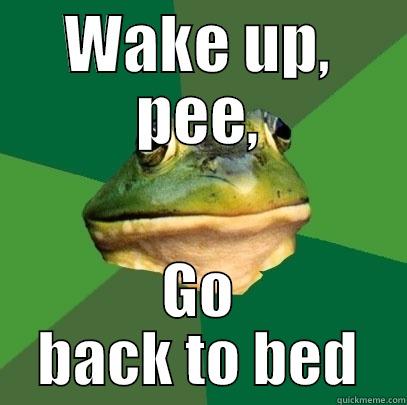 WAKE UP, PEE, GO BACK TO BED Foul Bachelor Frog