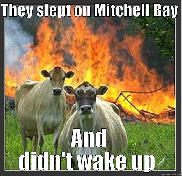 Psycowtic Cows  - THEY SLEPT ON MITCHELL BAY  AND DIDN'T WAKE UP  Evil cows