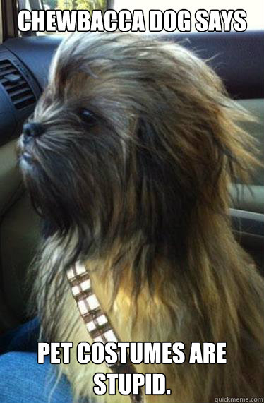 Chewbacca Dog says pet costumes are stupid.  Chewbacca Dog