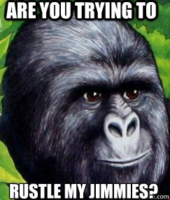 Are you trying to  
rustle my jimmies?  