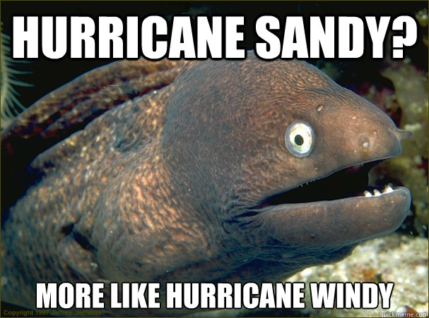 Hurricane Sandy? More like Hurricane Windy  Bad Joke Eel