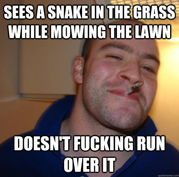 Sees a snake in the grass while mowing the lawn doesn't fucking run over it - Sees a snake in the grass while mowing the lawn doesn't fucking run over it  Misc