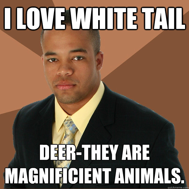 I love white tail deer-they are magnificient animals.
  Successful Black Man