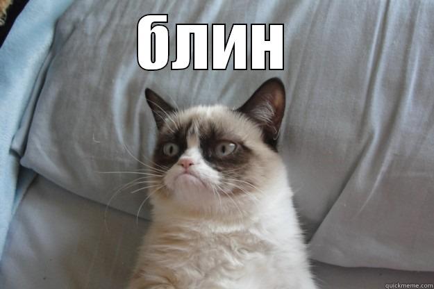 БЛИН  Grumpy Cat