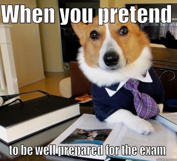 WHEN YOU PRETEND  TO BE WELL PREPARED FOR THE EXAM Lawyer Dog