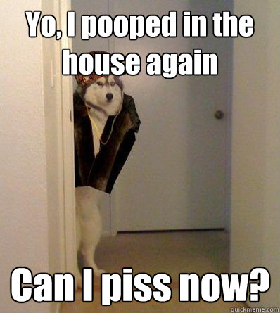 Yo, I pooped in the house again Can I piss now?  Scumbag dog