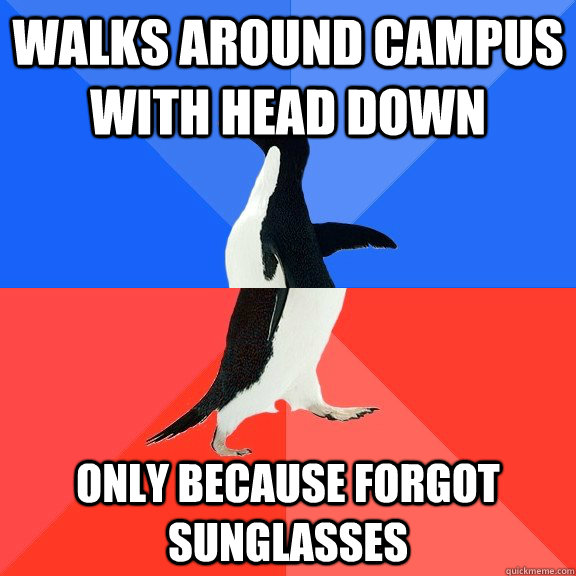 Walks around campus with head down only because forgot sunglasses  Socially Awkward Awesome Penguin