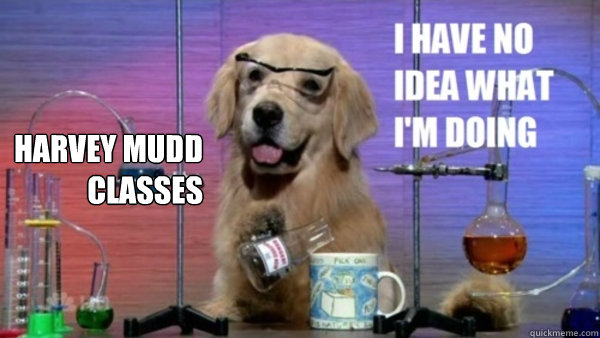 Harvey Mudd Classes   science dog