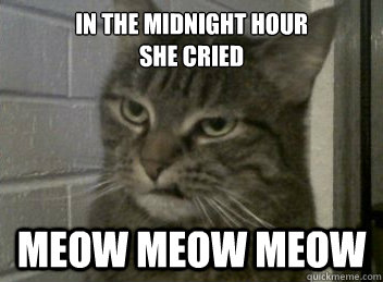 in the midnight hour
she cried meow meow meow  