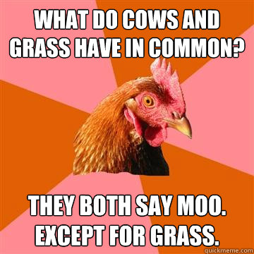 What do cows and grass have in common? They both say moo. except for grass.  Anti-Joke Chicken