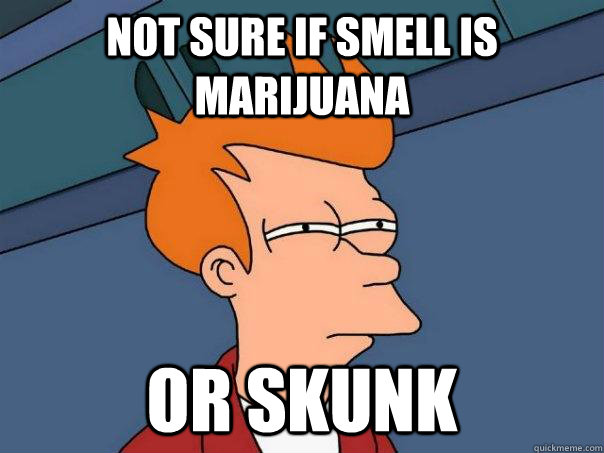 Not sure if smell is marijuana or skunk  Futurama Fry