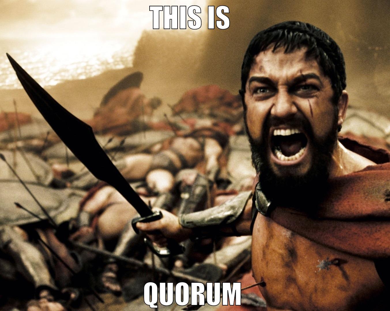 what is this?! - THIS IS  QUORUM Misc