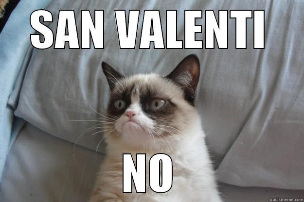 SAN VALENTI NO Grumpy Cat