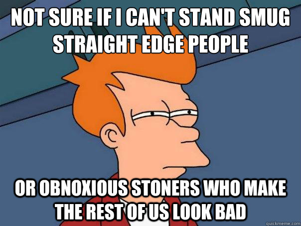 Not sure if I can't stand smug straight edge people Or obnoxious stoners who make the rest of us look bad - Not sure if I can't stand smug straight edge people Or obnoxious stoners who make the rest of us look bad  Futurama Fry