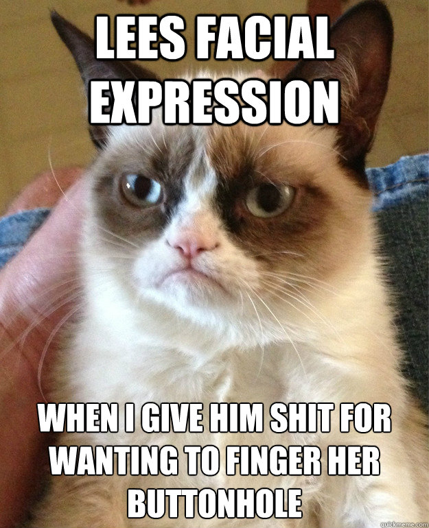 lees facial expression when i give him shit for wanting to finger her buttonhole  Grumpy Cat