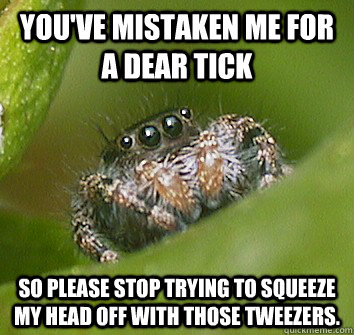 You've mistaken me for a dear tick So please stop trying to squeeze my head off with those tweezers.  Misunderstood Spider