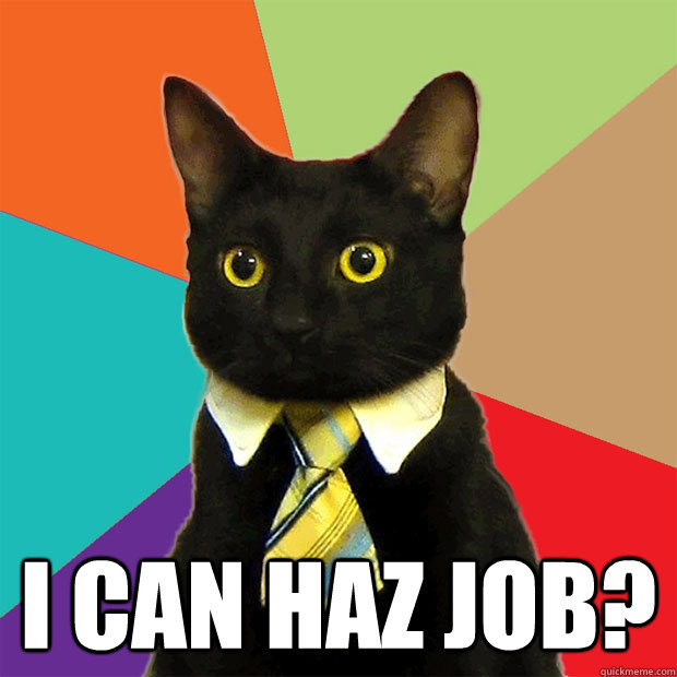  I can haz job?  Business Cat