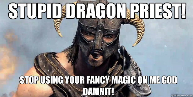 Stupid DRagon priest! Stop using your fancy magic on me god damnit!      skyrim