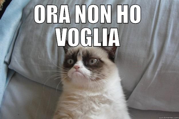 ORA NON HO VOGLIA  Grumpy Cat