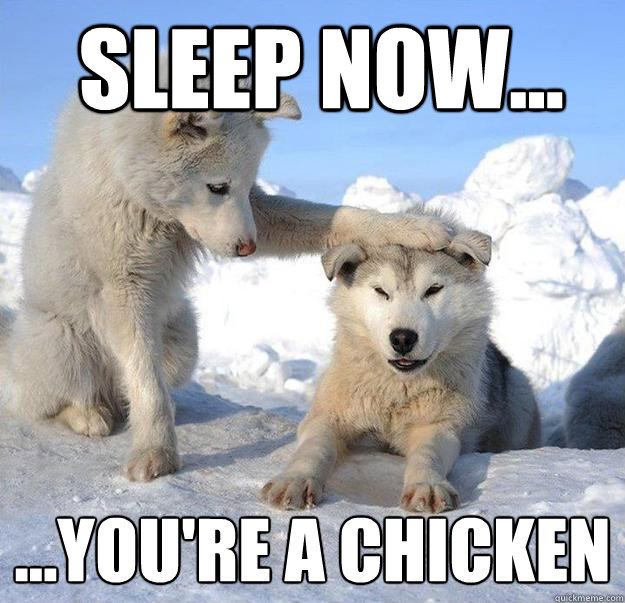  Sleep now...
 ...you're a chicken   Caring Husky