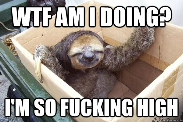 wtf am I doing? I'm so fucking high - wtf am I doing? I'm so fucking high  sloth box chill bro