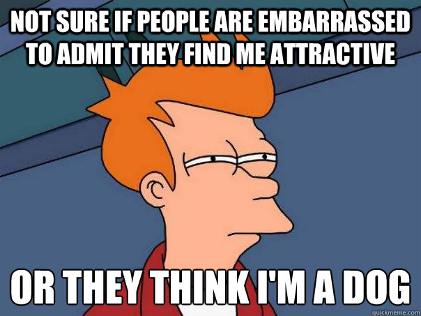 Not sure if people are embarrassed to admit they find me attractive Or they think I'm a dog  Futurama Fry