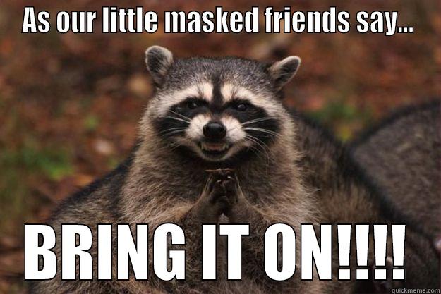 AS OUR LITTLE MASKED FRIENDS SAY... BRING IT ON!!!! Evil Plotting Raccoon