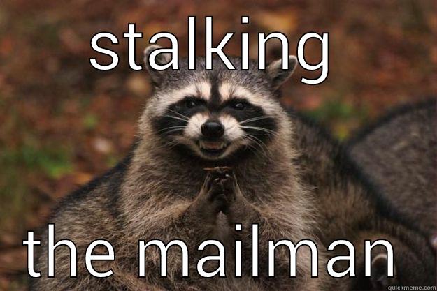 STALKING THE MAILMAN Evil Plotting Raccoon