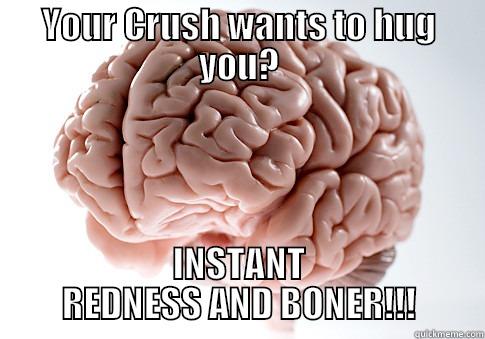 YOUR CRUSH WANTS TO HUG YOU? INSTANT REDNESS AND BONER!!! Scumbag Brain