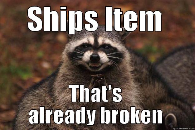 SHIPS ITEM THAT'S ALREADY BROKEN Evil Plotting Raccoon