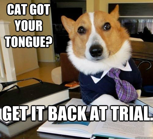 Cat got your tongue? Get it back at trial.  Lawyer Dog