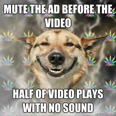 mute the ad before the video half of video plays with no sound  Stoner Dog