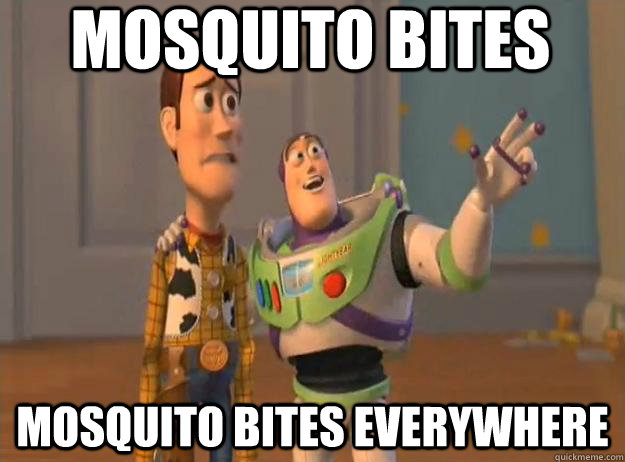 mosquito bites mosquito bites everywhere - mosquito bites mosquito bites everywhere  Prox Everywhere