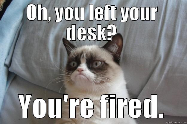 OH, YOU LEFT YOUR DESK? YOU'RE FIRED. Grumpy Cat