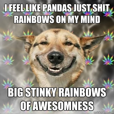 i feel like pandas just shit rainbows on my mind  big stinky rainbows of awesomness  Stoner Dog