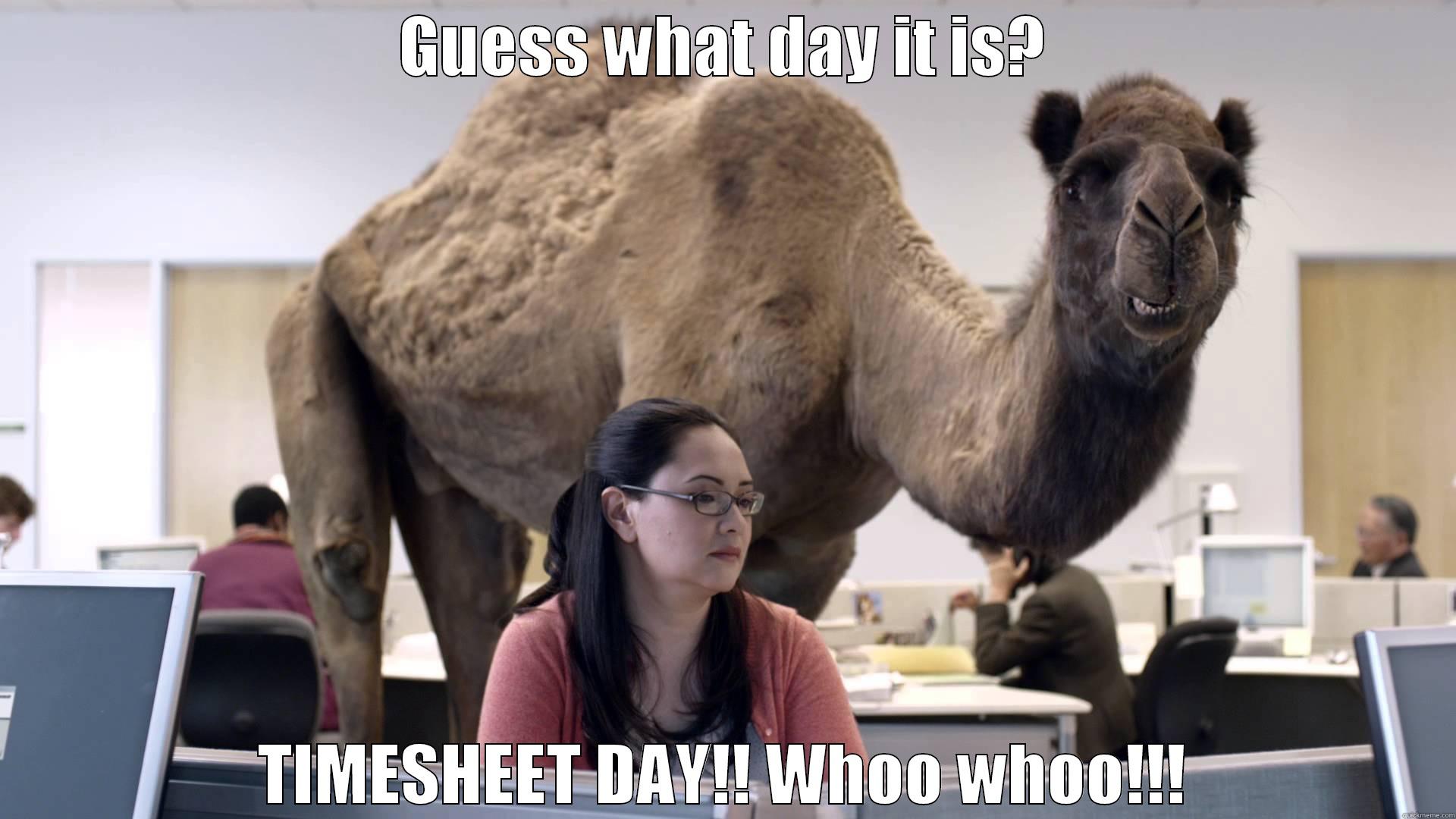 GUESS WHAT DAY IT IS? TIMESHEET DAY!! WHOO WHOO!!! Misc