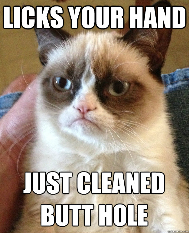 LICKS YOUR HAND JUST CLEANED BUTT HOLE
  Grumpy Cat