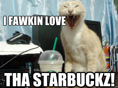 I FAWKIN LOVE THA STARBUCKZ!  Starbucks Cat