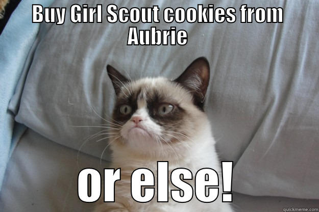 BUY GIRL SCOUT COOKIES FROM AUBRIE OR ELSE! Grumpy Cat