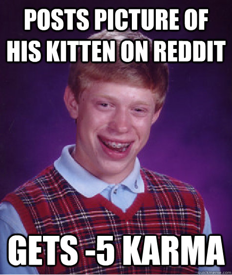 Posts picture of his kitten on Reddit Gets -5 Karma   Bad Luck Brian