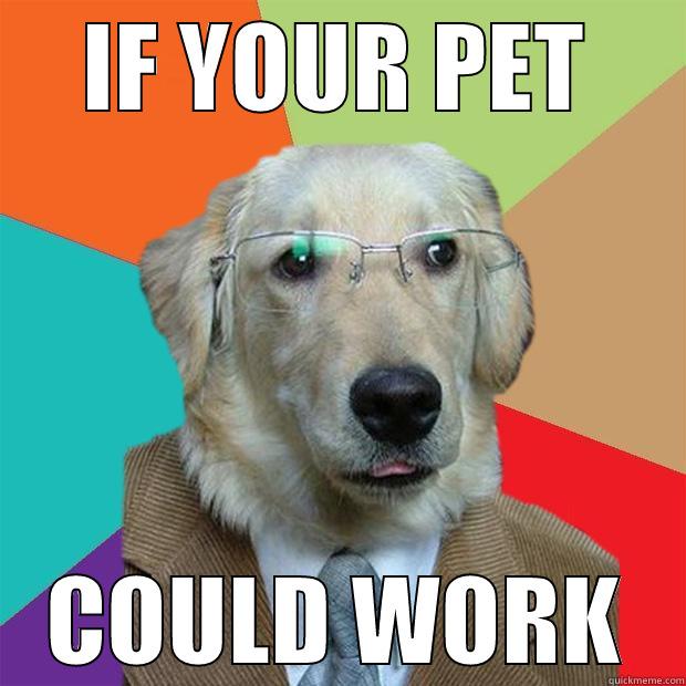 Pets working - IF YOUR PET COULD WORK Business Dog