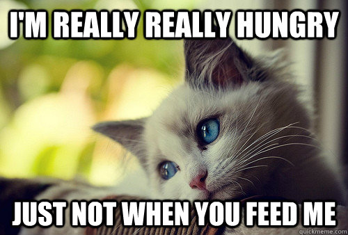 i'm really really hungry just not when you feed me  First World Problems Cat